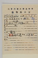 南蛇藤藏品圖，第2張