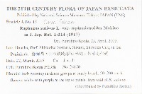 濱萊菔藏品圖，第2張