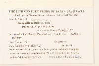 鼠麴草藏品圖，第2張