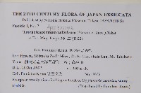 亞洲絡石藏品圖，第2張