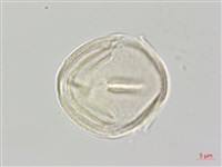 登錄號:S111332藏品圖，第2張