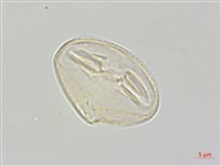 登錄號:S111332藏品圖，第3張