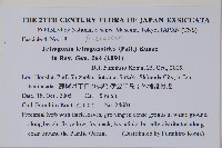 番杏藏品圖，第2張