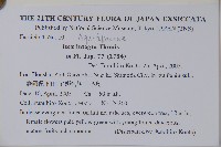 全緣葉冬青藏品圖，第2張