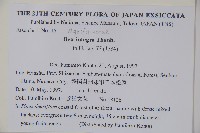 全緣葉冬青藏品圖，第2張