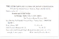 泥胡菜藏品圖，第2張