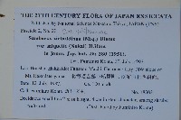 毛接骨木藏品圖，第2張