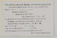 垂梗繁縷藏品圖，第2張