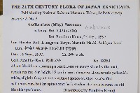 遼東蔥木藏品圖，第2張