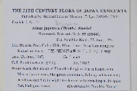 赤楊、臺灣赤楊、台北赤楊、水柯子、水柳柯藏品圖，第2張