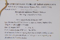 蘿藦藏品圖，第2張