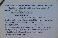 莢迷藏品圖，第2張