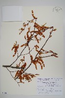 登錄號:S111407藏品圖，第1張