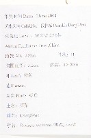 無瓣蔊菜藏品圖，第2張