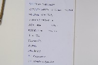 杏葉沙參藏品圖，第2張