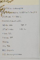 青蒿藏品圖，第2張