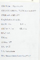 華杜英藏品圖，第2張