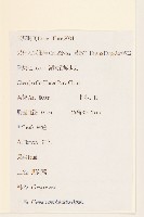 野茼蒿藏品圖，第2張