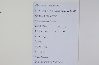 八角楓藏品圖，第2張