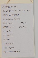 杓兒菜藏品圖，第2張