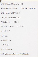 油柿藏品圖，第2張