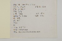 西南衛矛藏品圖，第2張