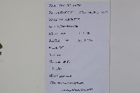 登錄號:S111608藏品圖，第2張