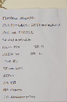 魁蒿藏品圖，第2張