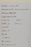 杓兒菜藏品圖，第2張