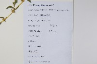 刺莧藏品圖，第2張