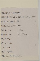 天名精藏品圖，第2張