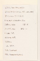 華澤蘭藏品圖，第2張