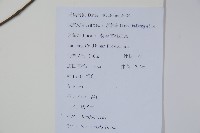 鐵冬青藏品圖，第2張