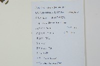 冬青藏品圖，第2張