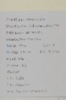 天名精藏品圖，第2張