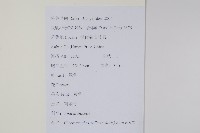 南酸棗藏品圖，第2張