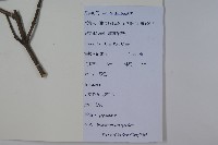 登錄號:S111902藏品圖，第2張