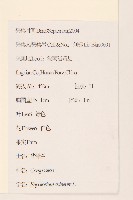 華澤蘭藏品圖，第2張