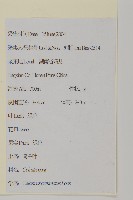 哥蘭葉藏品圖，第2張