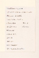 佩蘭藏品圖，第2張