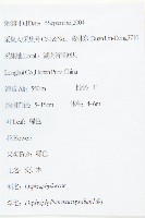 交讓木、臺灣虎皮楠、膜葉虎皮楠藏品圖，第2張