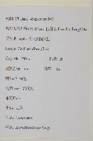 魁蒿藏品圖，第2張