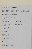 白花鬼針藏品圖，第2張