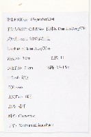 蒼耳藏品圖，第2張