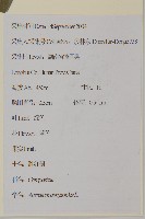 霍香薊藏品圖，第2張