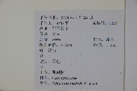 珊瑚樹藏品圖，第2張