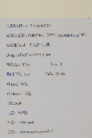 天名精藏品圖，第2張