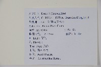 鐵冬青藏品圖，第2張