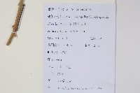 三葉五加、三加皮藏品圖，第2張