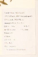 佩蘭藏品圖，第2張